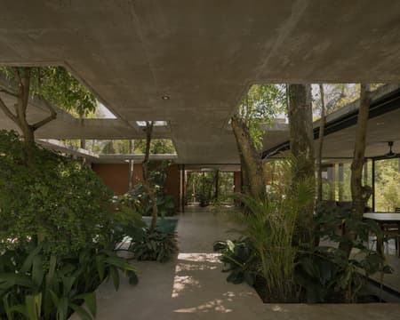 A Forest in the House